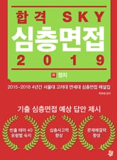 합격 SKY 심층면접(2019) : IV 정치(국가) 표지 이미지