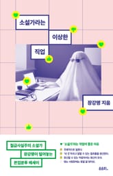 소설가라는 이상한 직업 표지 이미지