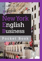포켓북 | 정철 생생영어회화 Practical New York English - 비즈니스 표현집 1 표지 이미지