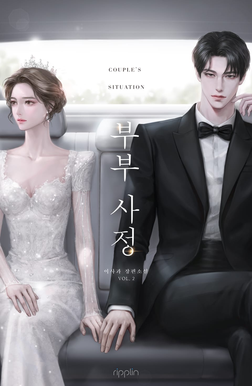 부부 사정 2권 (완결)