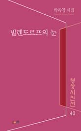 빌렌도르프의 눈 표지 이미지