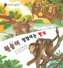 꼬마 자연 관찰 빙고. 11 원숭이 엉덩이는 빨개