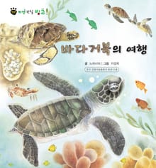 꼬마 자연 관찰 빙고. 25 바다거북의 여행