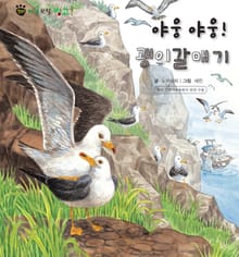 꼬마 자연 관찰 빙고. 31 야웅야웅! 괭이갈매기