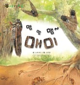 꼬마 자연 관찰 빙고. 42 맴맴맴~ 매미 표지 이미지