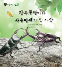 꼬마 자연 관찰 빙고. 46 장수풍뎅이와 사슴벌레의 힘자랑