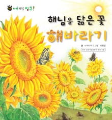 꼬마 자연 관찰 빙고. 48 해님을 닮은 꽃 해바라기