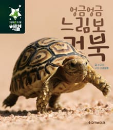 엉금엉금 느림보 거북