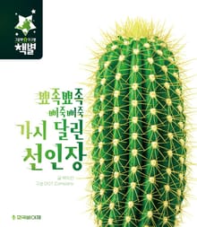 뾰족뾰족 삐죽삐죽 가시 달린 선인장