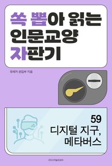 디지털 지구, 메타버스