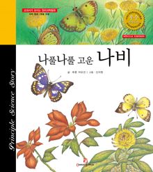 나풀나풀 고운 나비