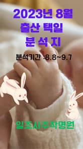 2023년 8월 출산택일 분석지 표지 이미지