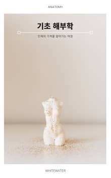 기초 해부학