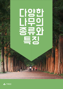 다양한 나무의 종류와 특징