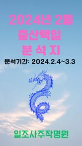 2024년 2월 출산택일 분석지 표지 이미지