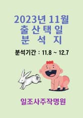 2023년 11월 출산택일 분석지 표지 이미지