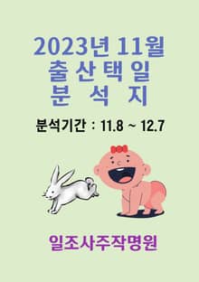 2023년 11월 출산택일 분석지