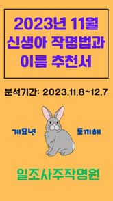 2023년 11월 신생아 작명법과 이름 추천서 표지 이미지