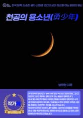 천공의 용소년(勇少年) 표지 이미지