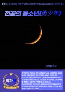 천공의 용소년(勇少年)