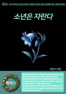 소년은 자란다