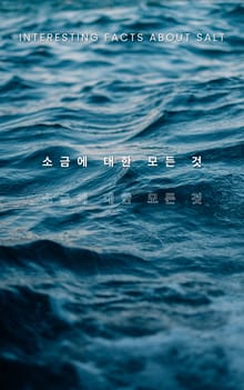 소금에 대한 모든 것