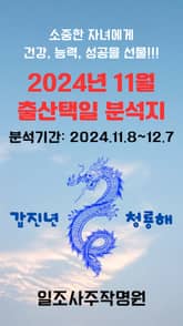 2024년 11월 출산택일 분석지 표지 이미지