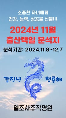 2024년 11월 출산택일 분석지