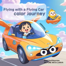 Flying with a Flying Car Color journey