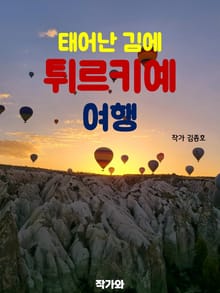 태어난 김에 튀르키예 여행