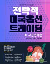 전략적 미국옵션 트레이딩 III.고급전략편 표지 이미지