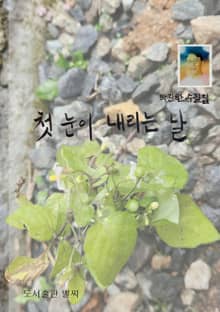 첫 눈이 내리는 날