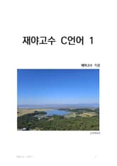 재야고수 C언어 1 표지 이미지