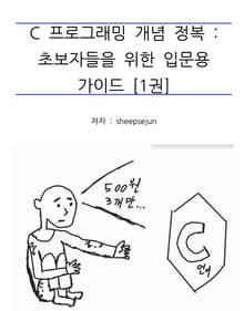 C프로그래밍 개념 : 정복 초보자들을 위한 입문용 가이드 [1권]