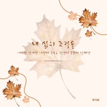 내 삶의 조각들