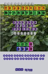 중국어 늘리는 지름길 한중 공용 한자어 3만개 표지 이미지