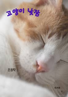 고양이 낮잠