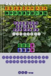 중국어 고수(高手)되는 지름길 한중 공용 한자어 6만개 표지 이미지