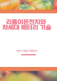 리튬이온전지와 차세대 배터리 기술