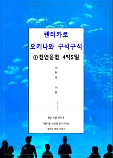 렌터카로 오키나와 구석구석