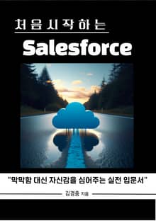 처음 시작하는 Salesforce