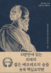 10분만에 읽는 괴테의 젊은 베르테르의 슬픔 표지 이미지