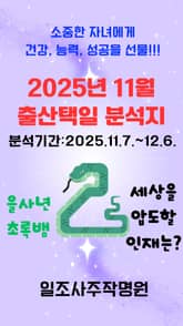 2025년 11월 출산택일 분석지 표지 이미지