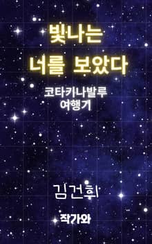 빛나는 너를 보았다