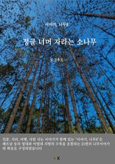 이야기, 나무8 표지 이미지