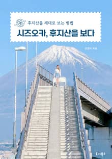 시즈오카, 후지산을 보다