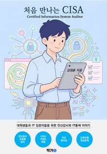 처음 만나는 CISA