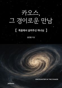 카오스, 그 경이로운 만남 (Encounter in the Chaos)