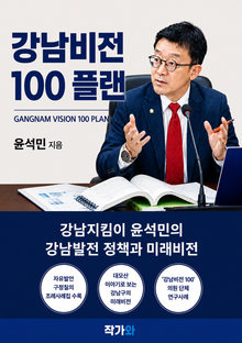 강남비전 100 플랜