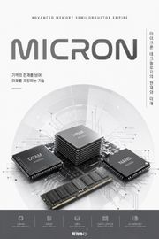 마이크론, 메모리 반도체 제국